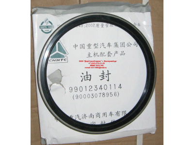 Сальник 190х220х15 задней ступицы наружный H/SH HOWO (ХОВО) WG9112340114 фото 1 Волжский