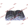 Вкладыши коренные WD618 (комплект) SH SHAANXI / Shacman (ШАНКСИ / Шакман) 61800010128/132 фото 2 Волжский