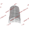 Вкладыши коренные двигателя CA6DL2 (36D) F FAW (ФАВ) 1002034A36D/1002035A36D для самосвала фото 3 Волжский