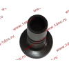 Стакан штанги-толкателя двигатель TD226B6G LONGGONG Lonking CDM (СДМ) 12273399 фото 4 Волжский